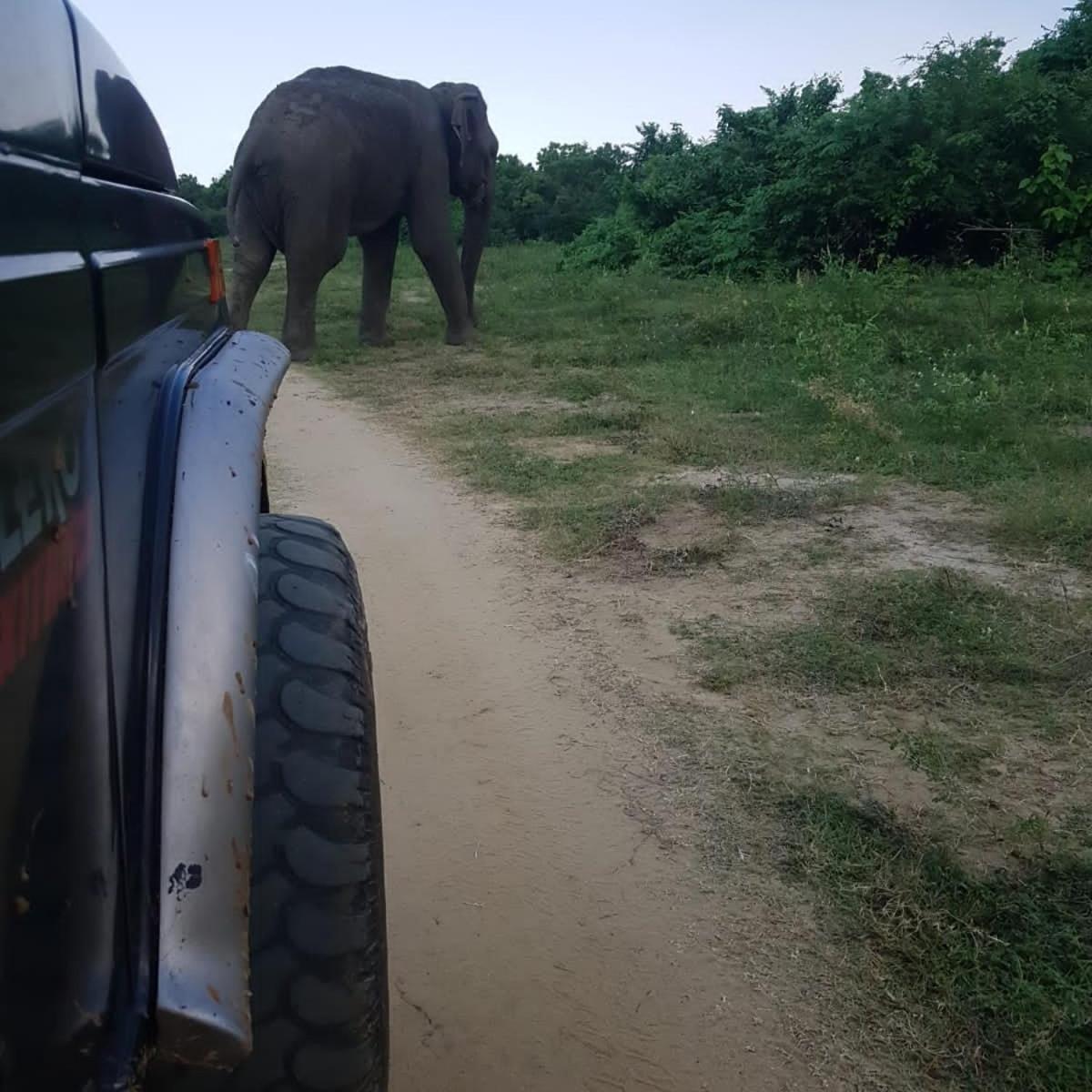 Отель Masiya Safari Service Удавалаве Экстерьер фото